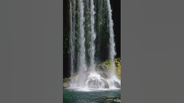 تلاوة من سورة " الأعلى " || الشيخ ماجد الزامل