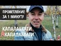 Капалабхати и акапалабхати - пранаяма для начинающих