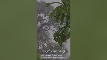 ماتيسر من سورة الواقعة || الشيخ محمد الزواوي