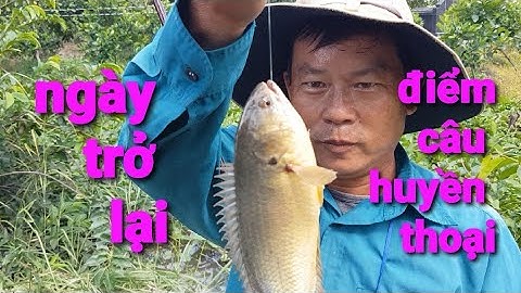 câu cá rô đồng, trở lại điểm câu huyền thoại tìm cảm giác khủng