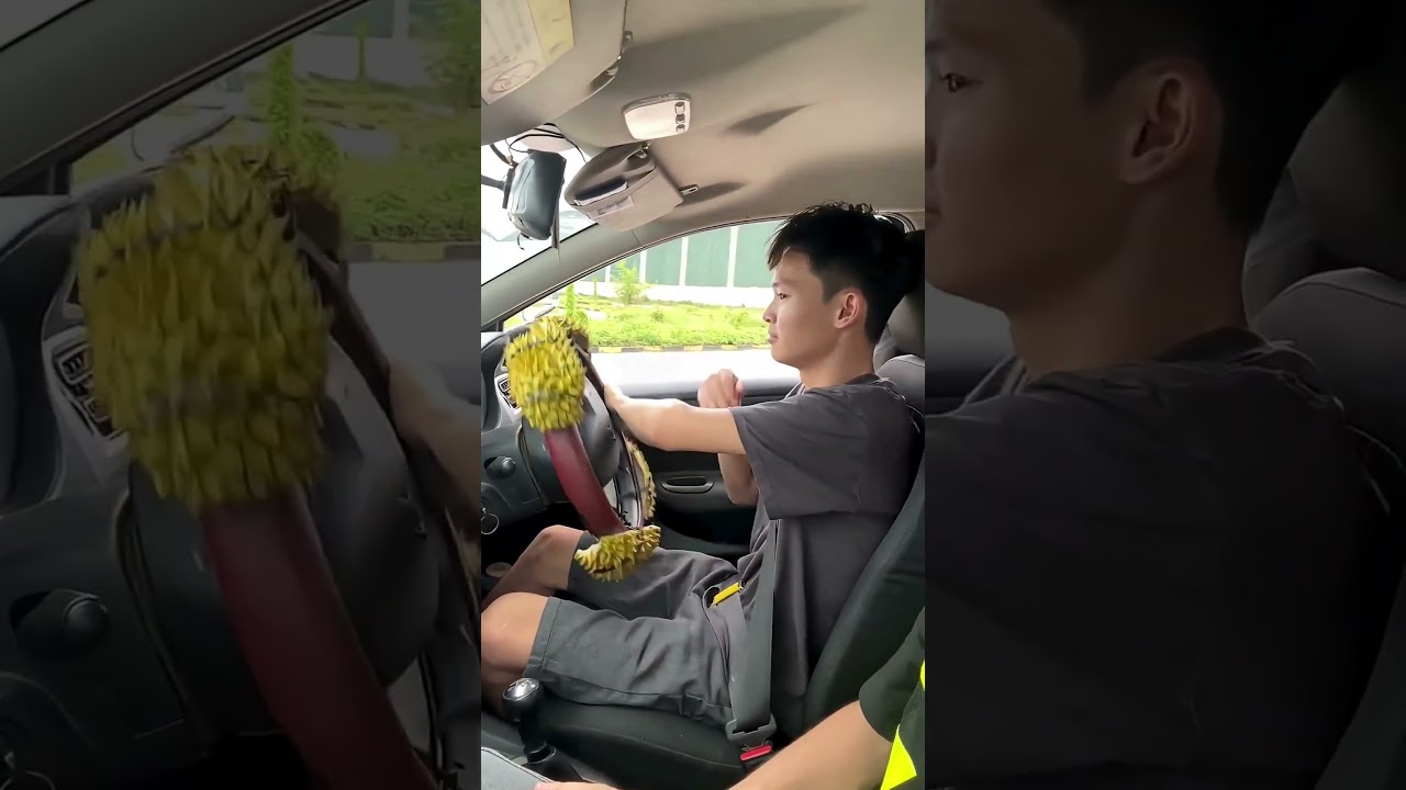 Papa Pasang Duri di Stir Mobil Anaknya Biar Nyetirnya Pelan....