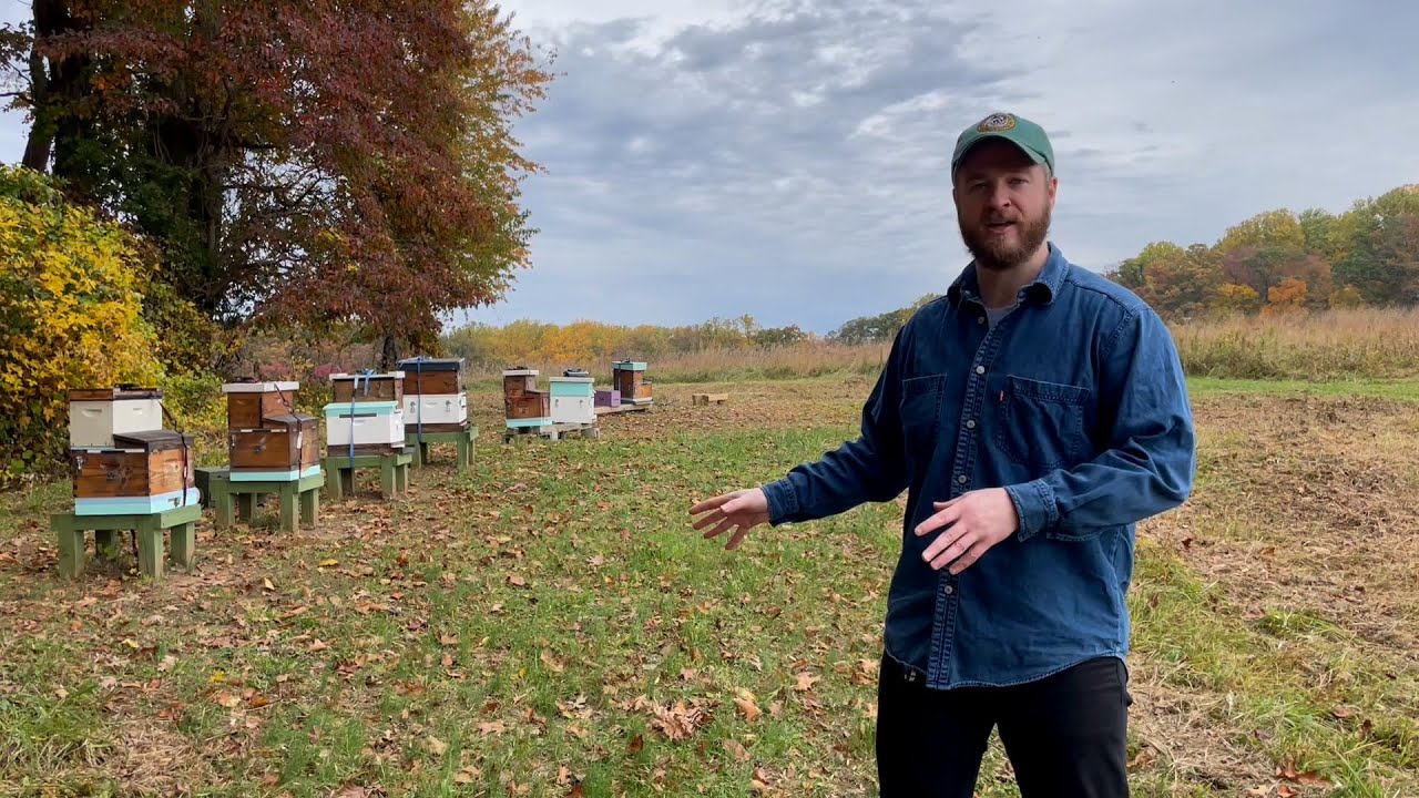 Testing The Keeper's Hive At Winterthur Museum, Garden, And Library