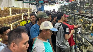 OBRAL DI BULAN PUASA !!! BURUNG TLEDEKAN - FALK - SIRI² - PLECI - KACER - KENARI DLL