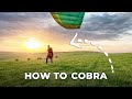 Tame the cobra launch in 3 minutes