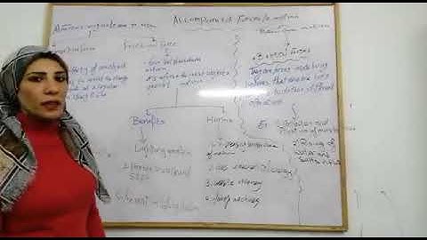 Unit 2 Lesson 2: accompanied forces to motion Prep 1 Mrs noha mohamed Eltaef governmental language s
