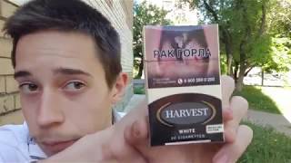 Обзор сигарет Harvest White с кокосом (Германия)