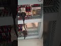 cap machine circuit connection