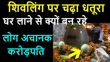 शिवलिंग पर चढ़ा धतूरा घर ले आवो फिर देखो चमत्कार ! shivling puja dhatura !