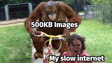 Optimizing Images for the Web from the Command Line