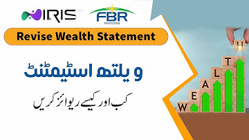 How to Revise Your Wealth Statement | Step-by-Step Guide
