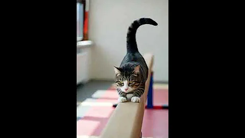 Grok Imagine — Help Shape the Future of AI Video Generation 🚀