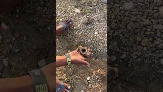 I Found An Hammer Handle