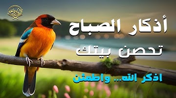 أذكار الصباح 🌤️ راحة نفسية وتحصين يومي تبدأ به يومك | بصوت هادئ يأسر القلب ويملأه طمأنينة