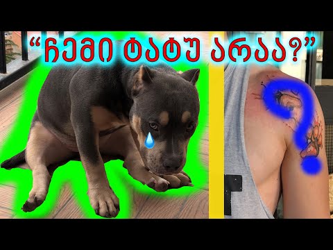 ჩემი ძაღლების ტატუ გავიკეთე?!