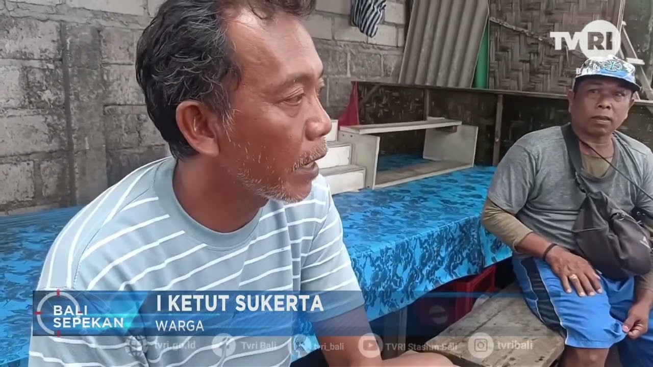 BALI SEPEKAN  -  TVRI BALI #news