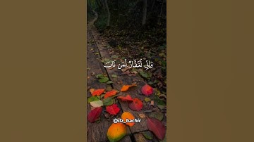 #آيات #اقتباسات #الجزائر #السعودية #ايات_قرانيه_قصيره #دعاء #ترند #اكسبلور #قرآن #شعر