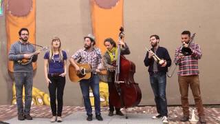 Dustbowl Revival - "Standing Next To Me" - In Holland chords