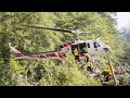 CAL FIRE Firefighters and Helicopters Battle Wildfire in Henry Cowell State Park