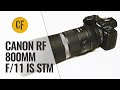 Canon RF 800mm f/11 IS STM lens review with samples