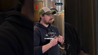 De la fábrica al vaso: conocé el arte cervecero que conquista a la región.