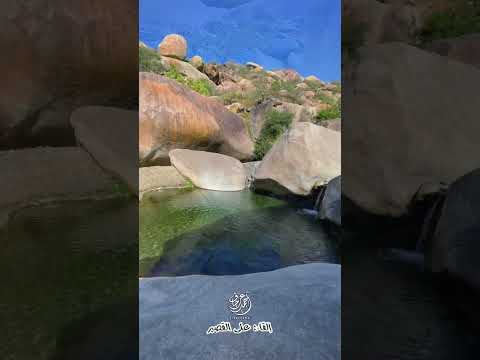 إن المشاعر في الاخيار تنساب علي القصير وادي شهدان