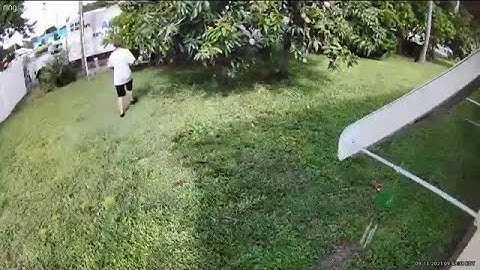 Man caught on camera stealing mangoes from Cape Coral home