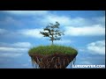 Growing Tree HD 3D CGI Growth Sky Animation growfx corona renderer visual effects vfx artist