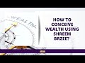 How To Conceive Wealth Using Shreem Brzee