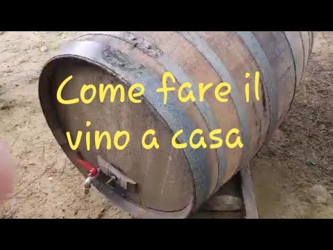 Video: Come Fare Il Vino Da Uva, Ribes Nero E Mele
