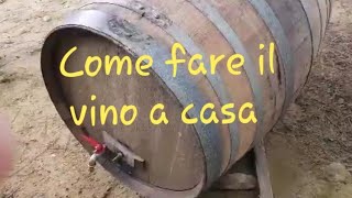 come fare il vino a casa?  nero d'Avola, Pigiatura, pressatura e fermentazione @meccanicando