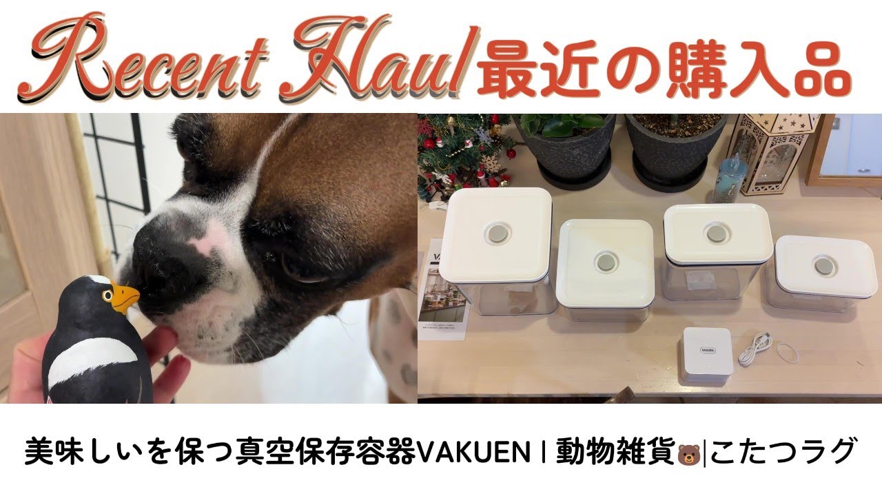 【最近の購入品】美味しいを保つ真空保存容器など #VAKUEN #真空保存容器 #フードロス #夫婦ふたり暮らし #アラフィフ夫婦 #保護犬と暮らす #保護猫と暮らす #犬と猫のいる暮らし #hana