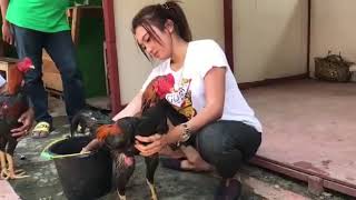 botoh cewek indonesia
