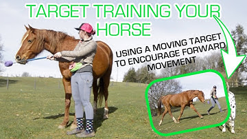 MOVING TARGET || HORSE TARGET TRAINING || TRAINING YOUR HORSE WITH POSITIVE REINFORCEMENT