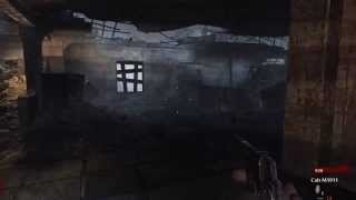 Nvidia Shadowplay test (CoD: WaW)
