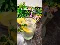 Pulse Candy Mojito 💚 Surprisingly Amazing ! Must Try