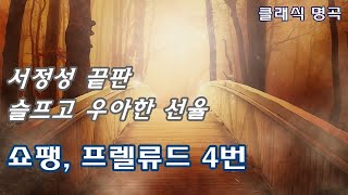 쇼팽 - 프렐류드(전주곡) 4번 라르고 E단조 [슬픔을 위로하는 피아노 선율] Chopin - Prelude in E Minor Op.28, No.4 Largo