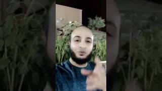 أهداف ومقاصد سور القرآن الكريم _ سورة الحجر