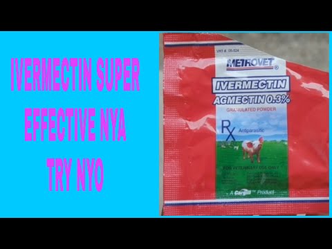 Video: Ivermek For Cats: Use In Veterinary Medicine, Instructions For The Preparation, Treatment Of Parasites With Ivermectin, Reviews And Analogues