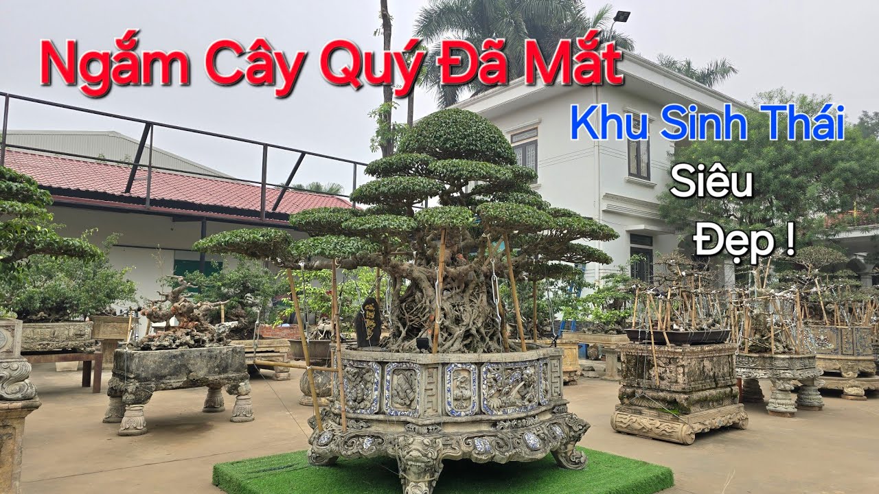 LẠC VÀO KHU SINH THÁI * SIÊU ĐẸP * MỘC HOA VIÊN * ngắm Toàn Cây Đẹp !