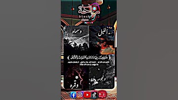 راحة نفسية القران الكريم 📖 #انشر_تؤجر #اذكروا_الله_يذكركم #explorepage #rapdz #اكسبلور #تيكتوك