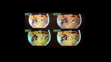 Wanbo projector comparison effect   #wanbo #tech #davinci1pro#mozart1#wanbox5#mozart1pro