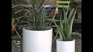 Classic White Ceramic Flower Pots | Picture Set Of Beautiful & Decor Work