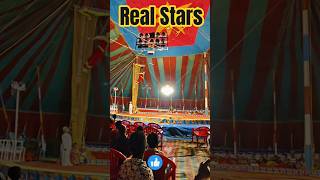 Pure Bravery! 😱 High-Wire Circus Act #Shorts #circuslife