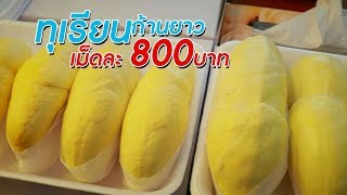 Top 5 ร้านเด็ด ตลาด อ.ต.ก. ตลาดที่ดีที่สุดอันดับ 4 ของโลก