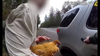 Fowl Play? Man Arrested After Allegedly Abducting Ex-Girlfriend's Chicken