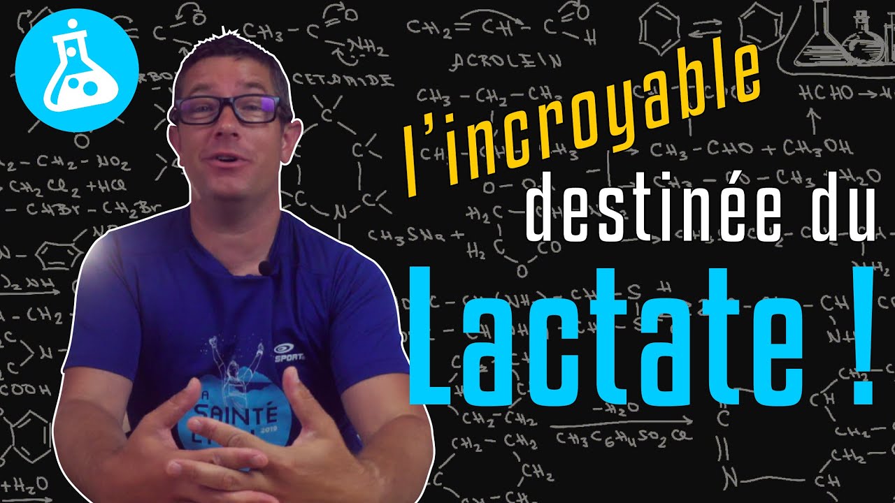 Lactates : intérêts et utilisation dans l'entraînement