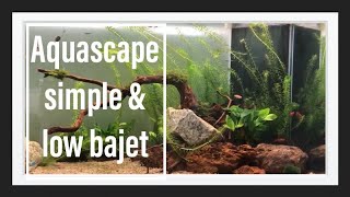 simple aquascape and low budget
