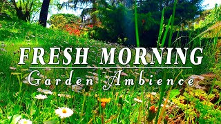 ☀️Fresh Morning Energy☀️ Healing Spring Sounds In A Garden To Boost Your Energy Up🌿🌞Good Vibes Only