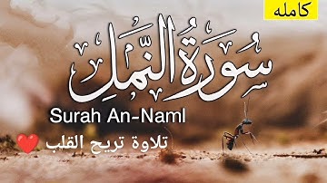 سورة النمل تلاوة تريح القلب ❤️