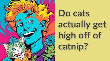 Do cats actually get high off of catnip?